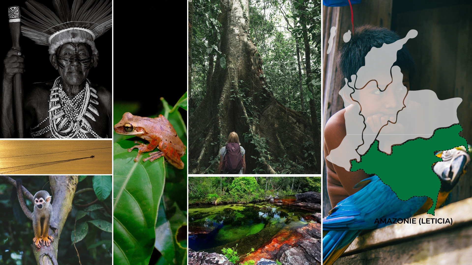 Voyage en Colombie Jiwaecotours.com
