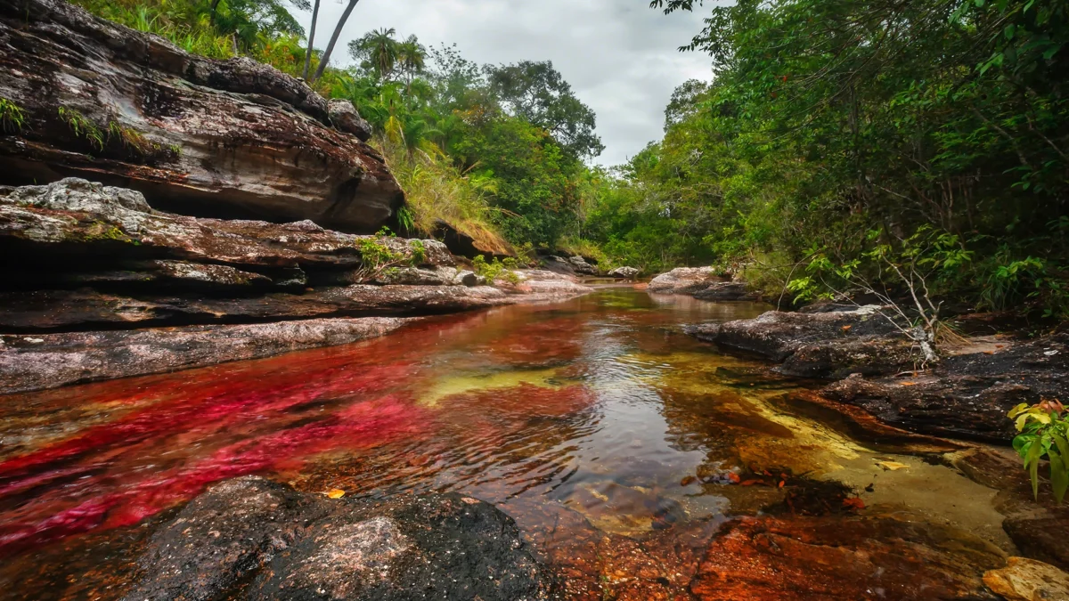 Voyage en Colombie Jiwaecotours.com