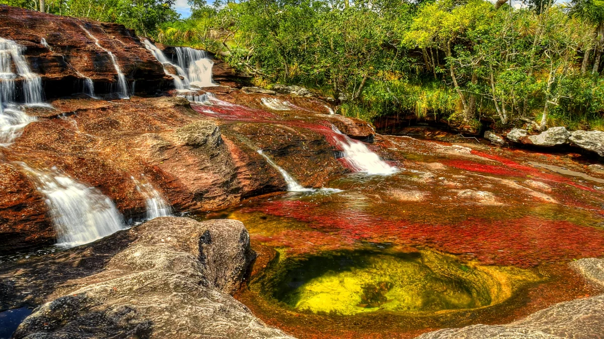 Voyage en Colombie Jiwaecotours.com