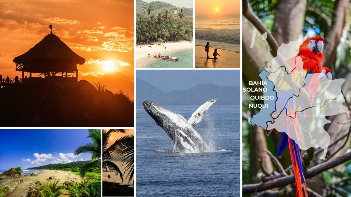 Voyage en Colombie Jiwaecotours.com