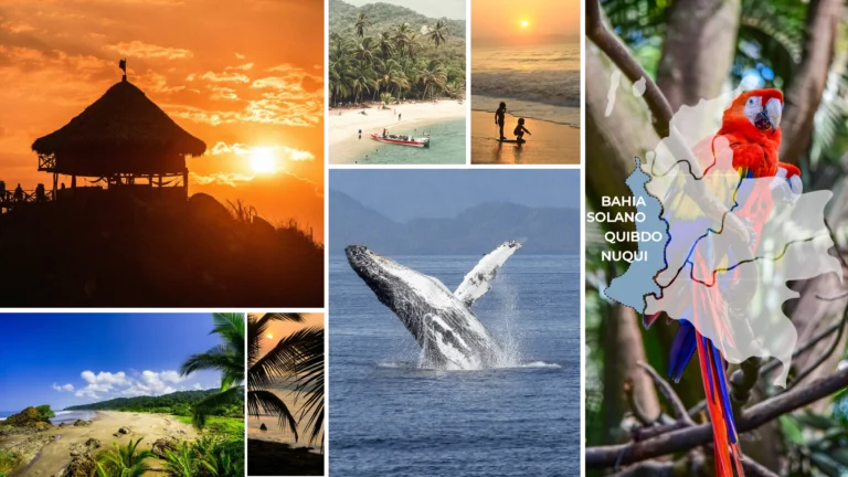 Voyage en Colombie Jiwaecotours.com