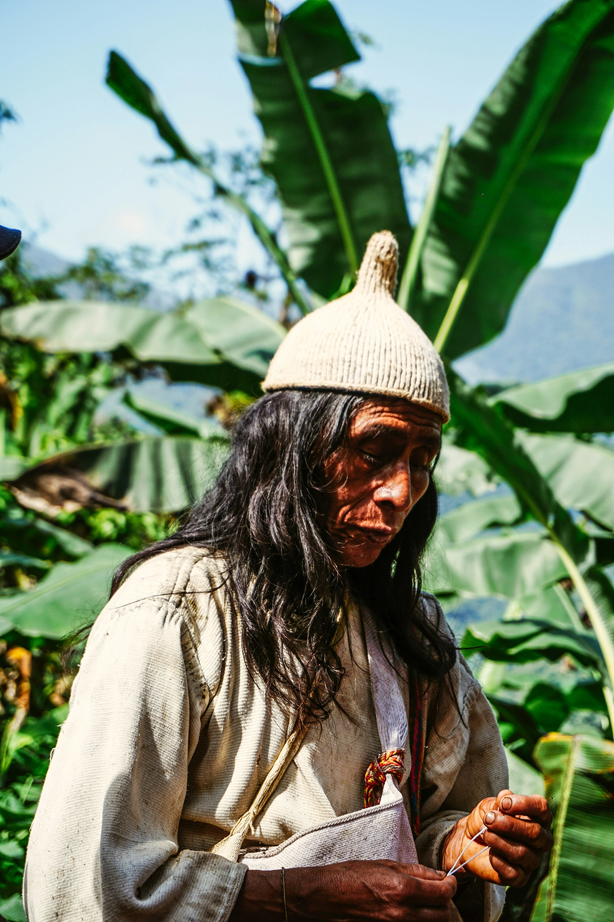 Voyage en Colombie Jiwaecotours.com