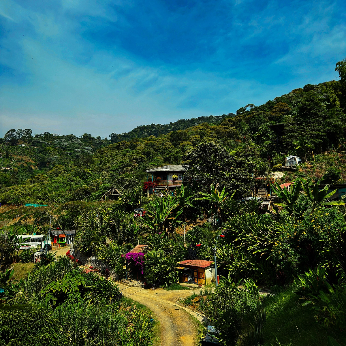 Voyage en Colombie Jiwaecotours.com