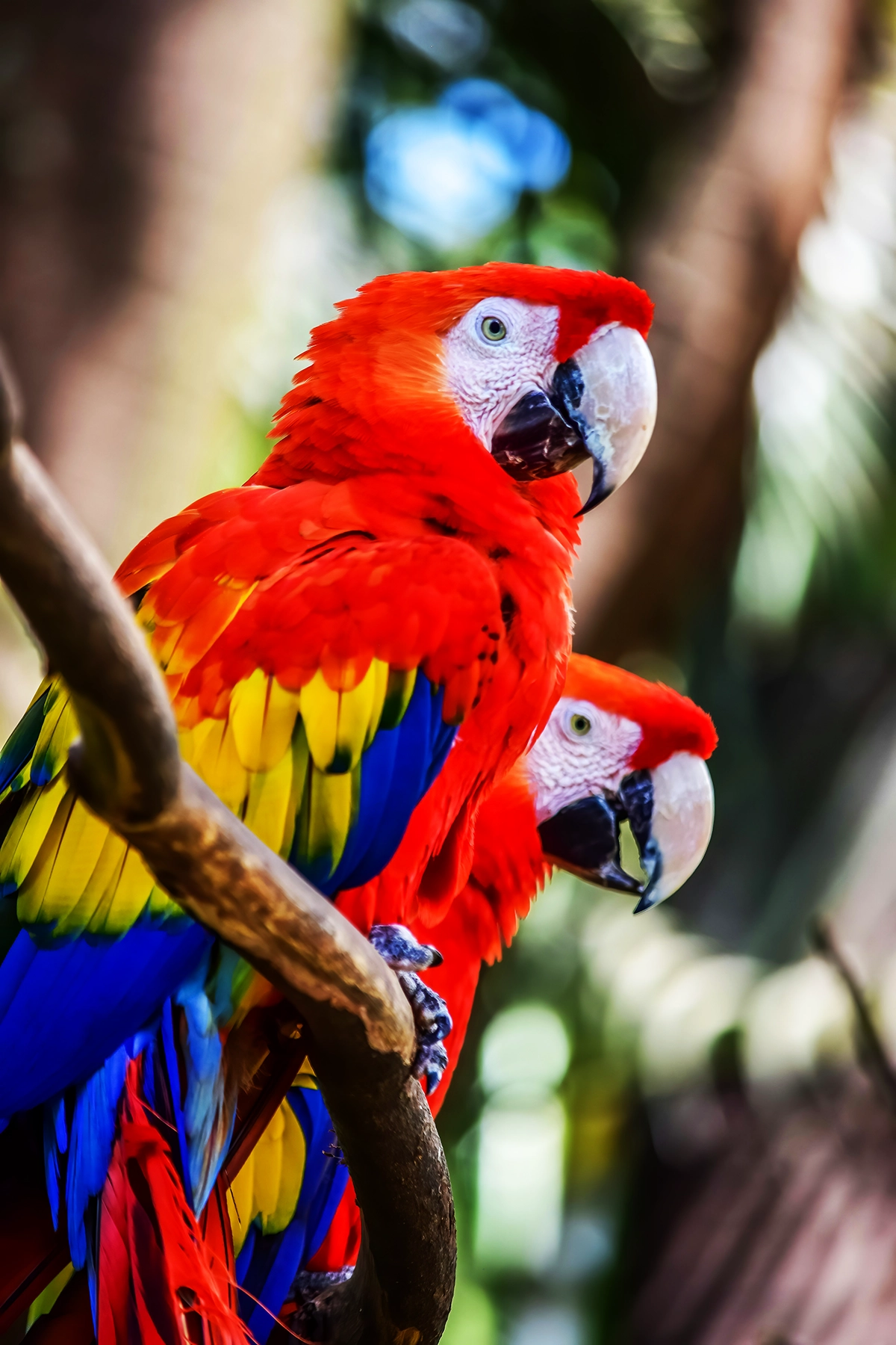 Voyage en Colombie Jiwaecotours.com