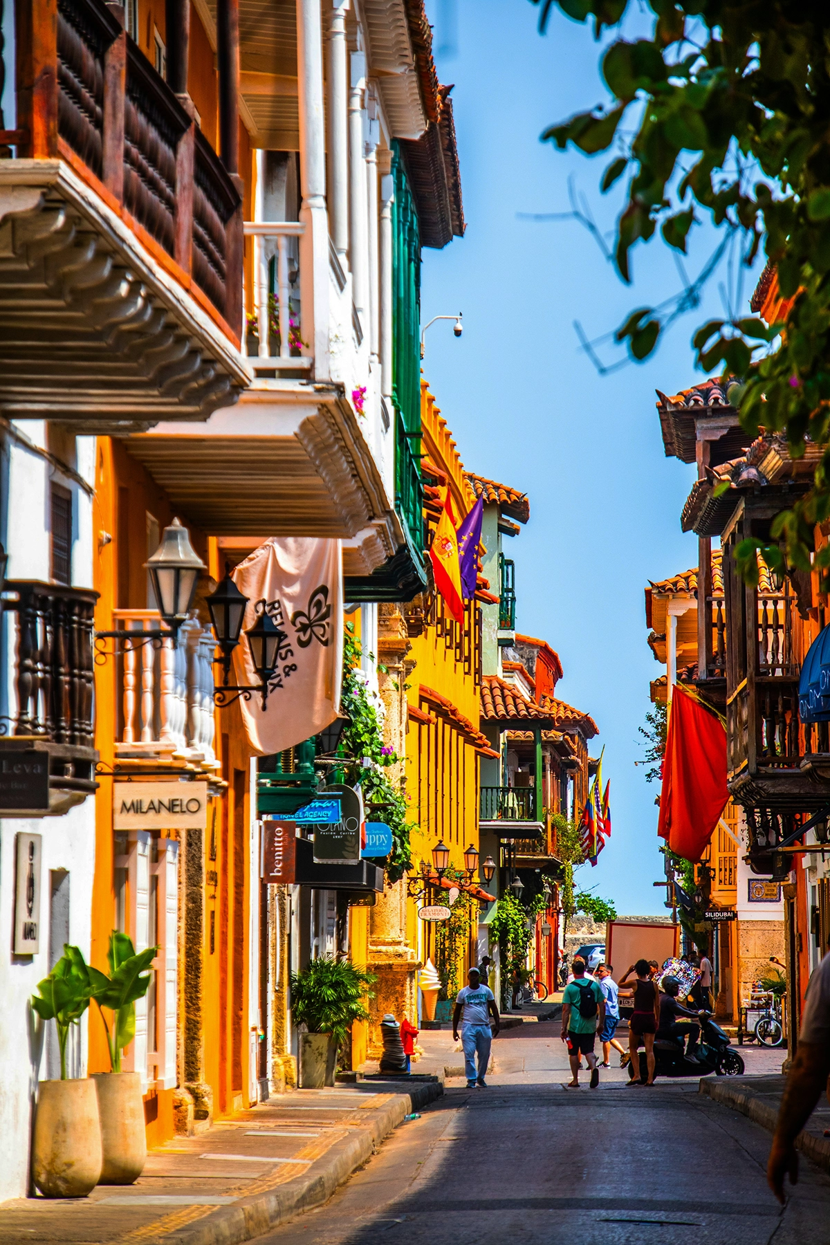 Voyage en Colombie Jiwaecotours.com
