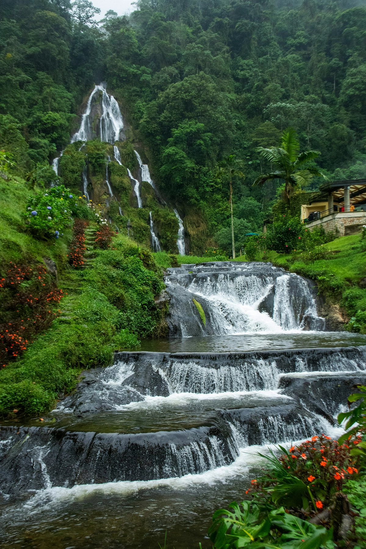 Voyage en Colombie Jiwaecotours.com