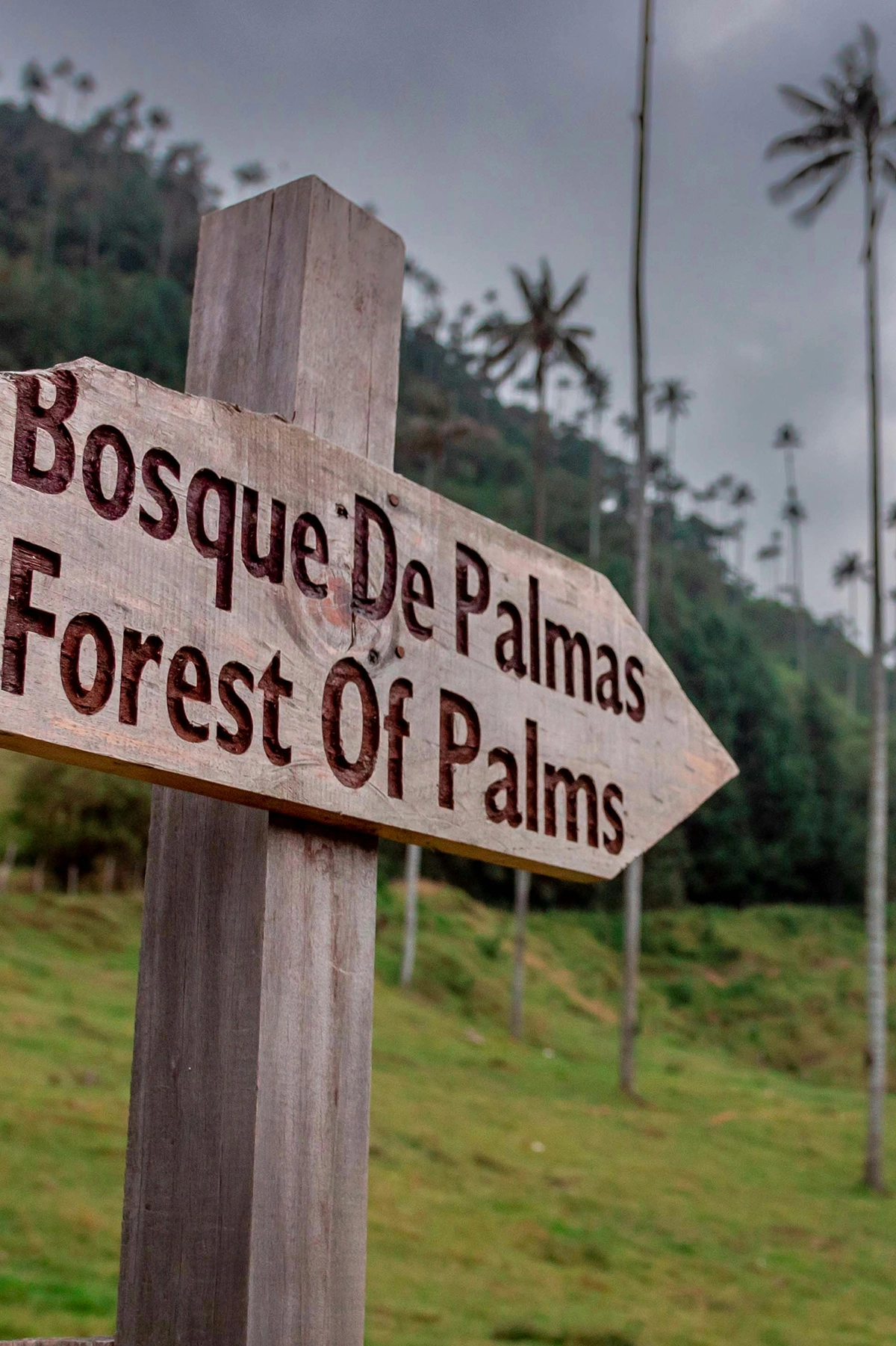 Voyage en Colombie Jiwaecotours.com