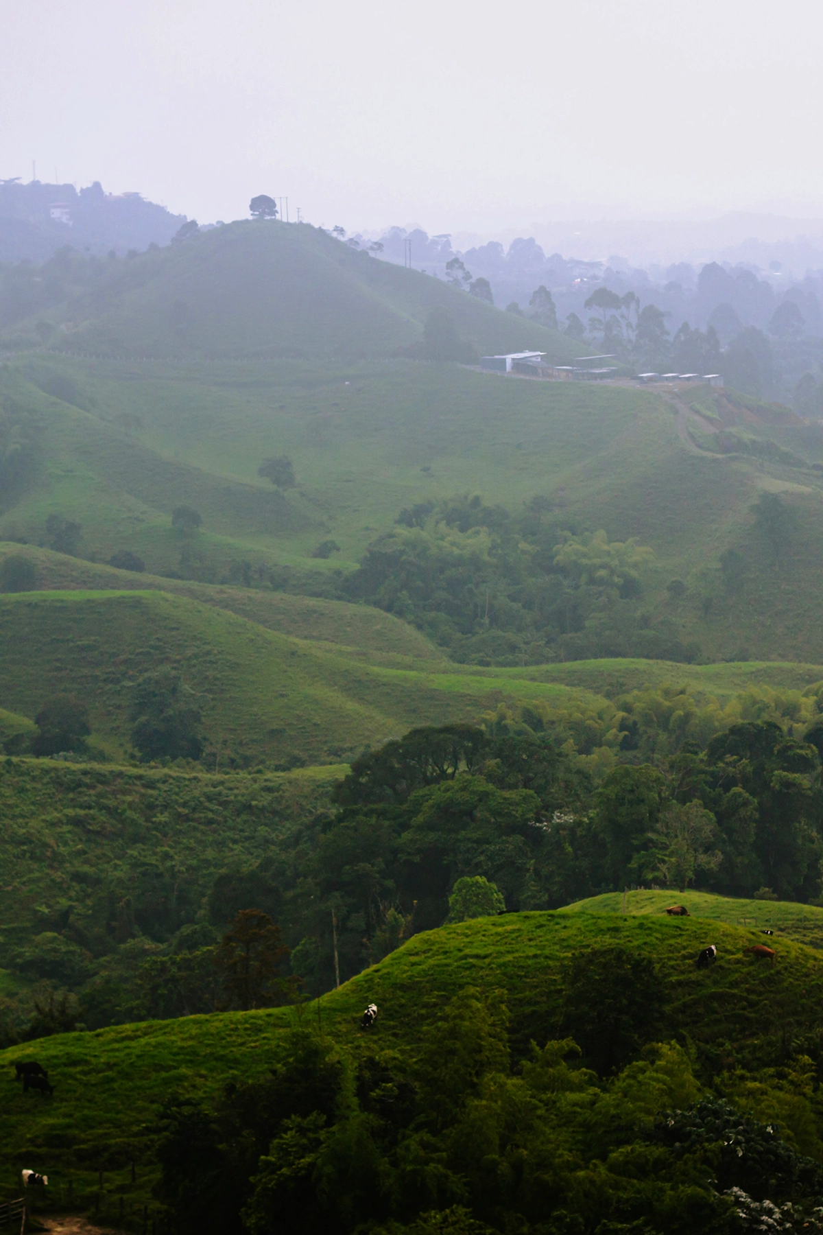 Voyage en Colombie Jiwaecotours.com