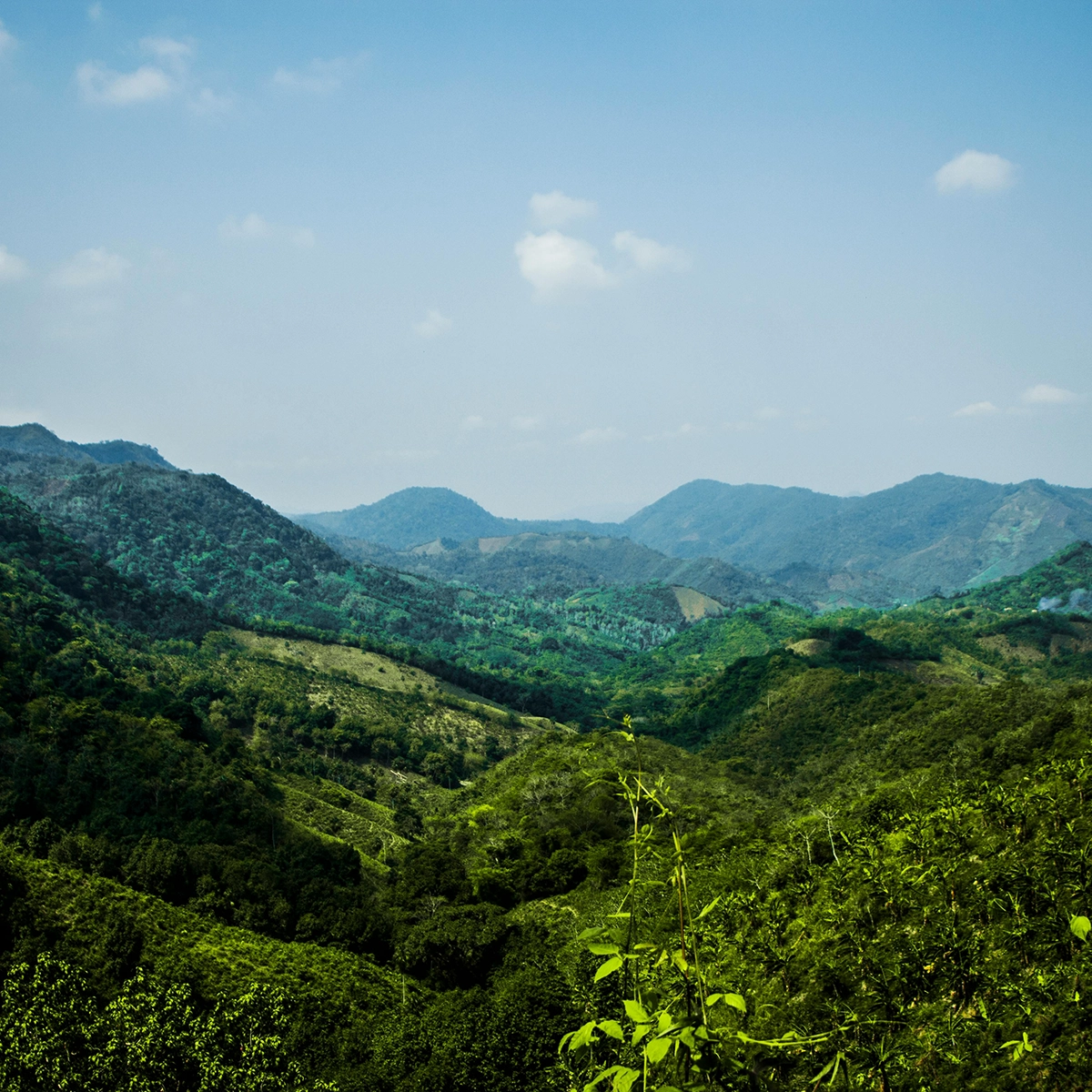 Voyage en Colombie Jiwaecotours.com
