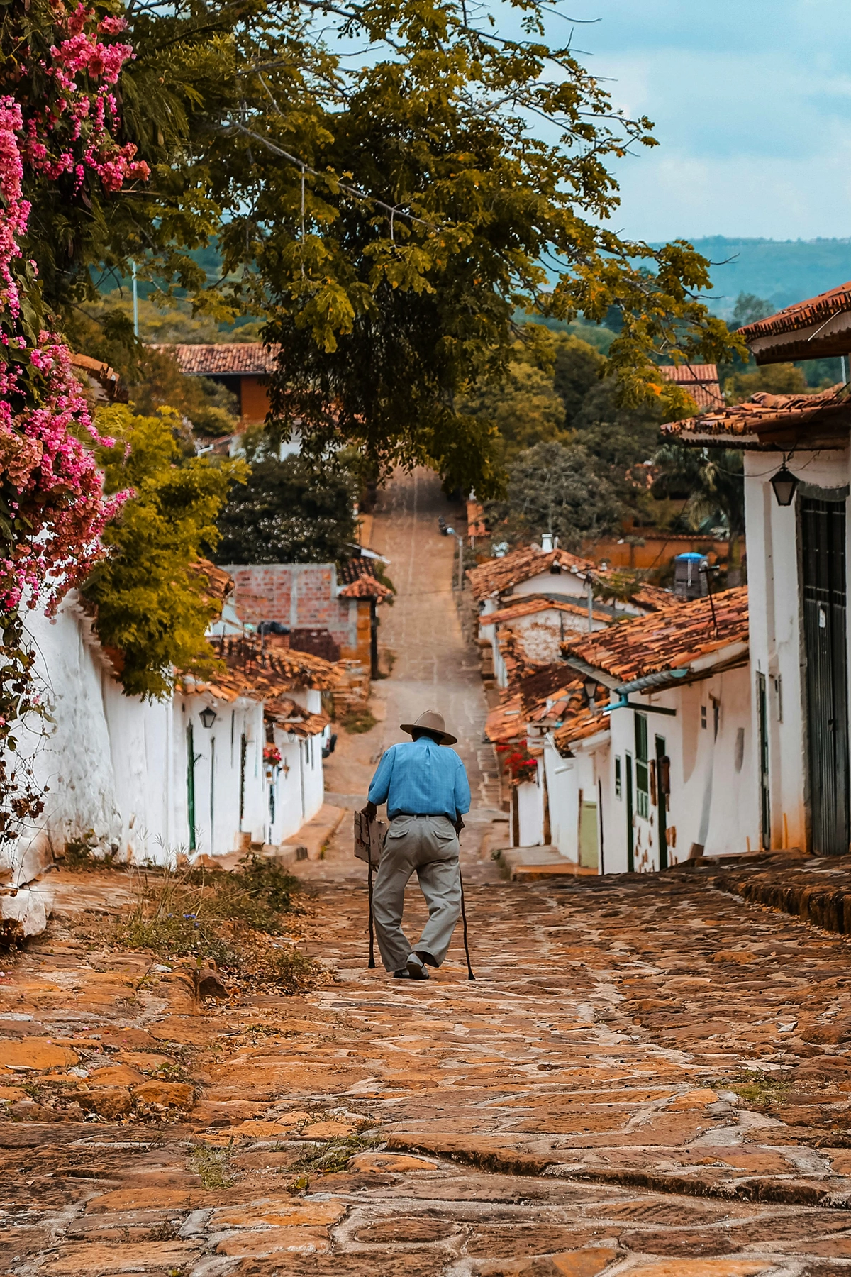 Voyage en Colombie Jiwaecotours.com