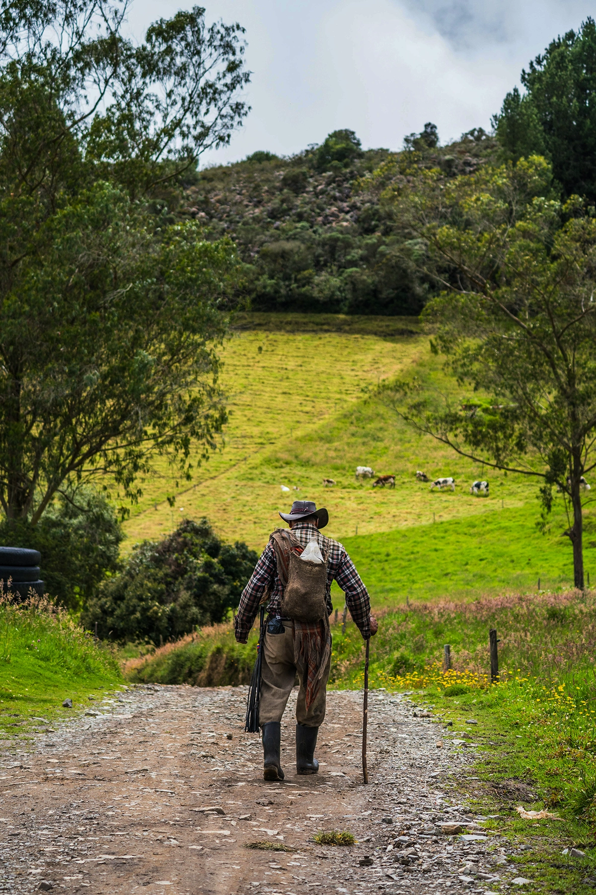 Voyage en Colombie Jiwaecotours.com