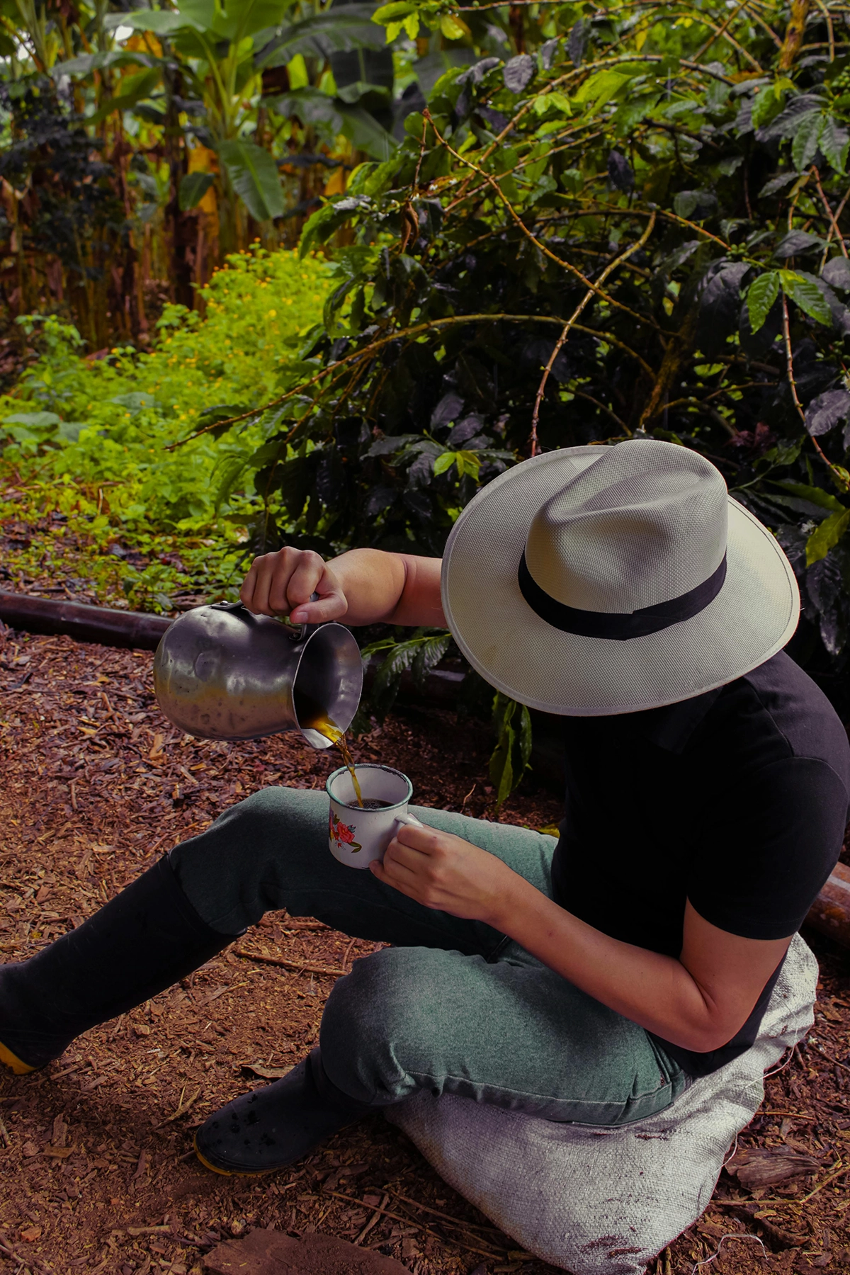 Voyage en Colombie Jiwaecotours.com