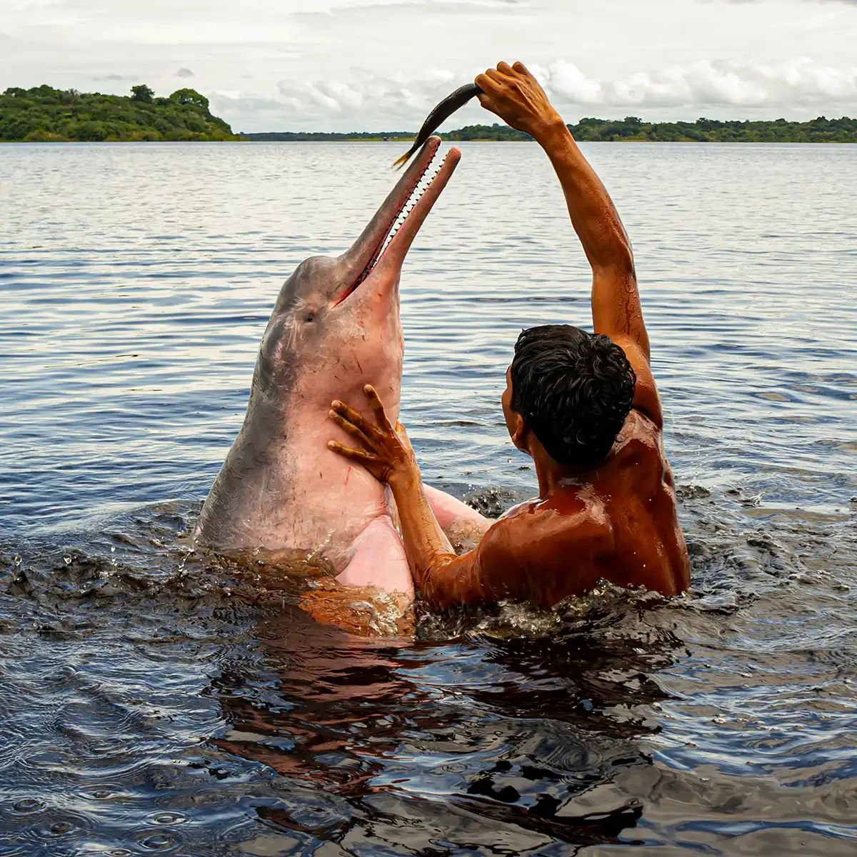 Voyage en Colombie Jiwaecotours.com