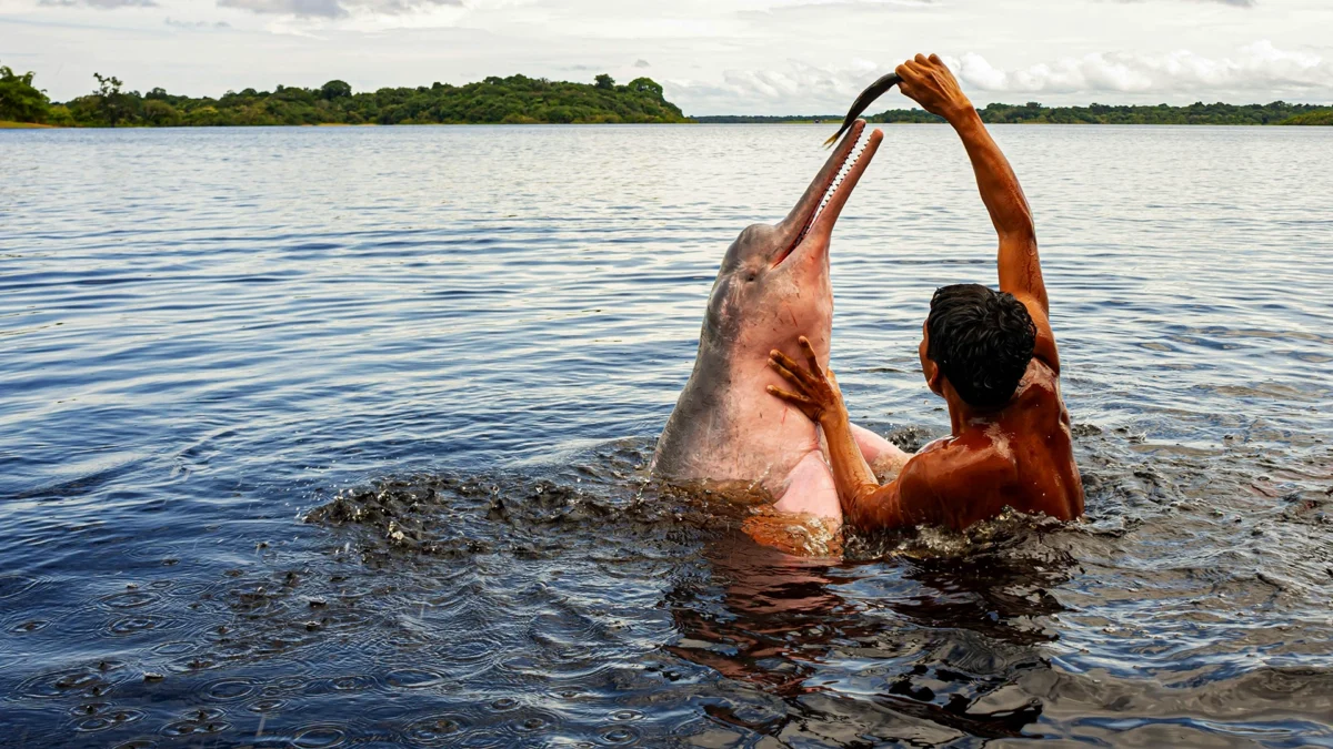 Voyage en Colombie Jiwaecotours.com