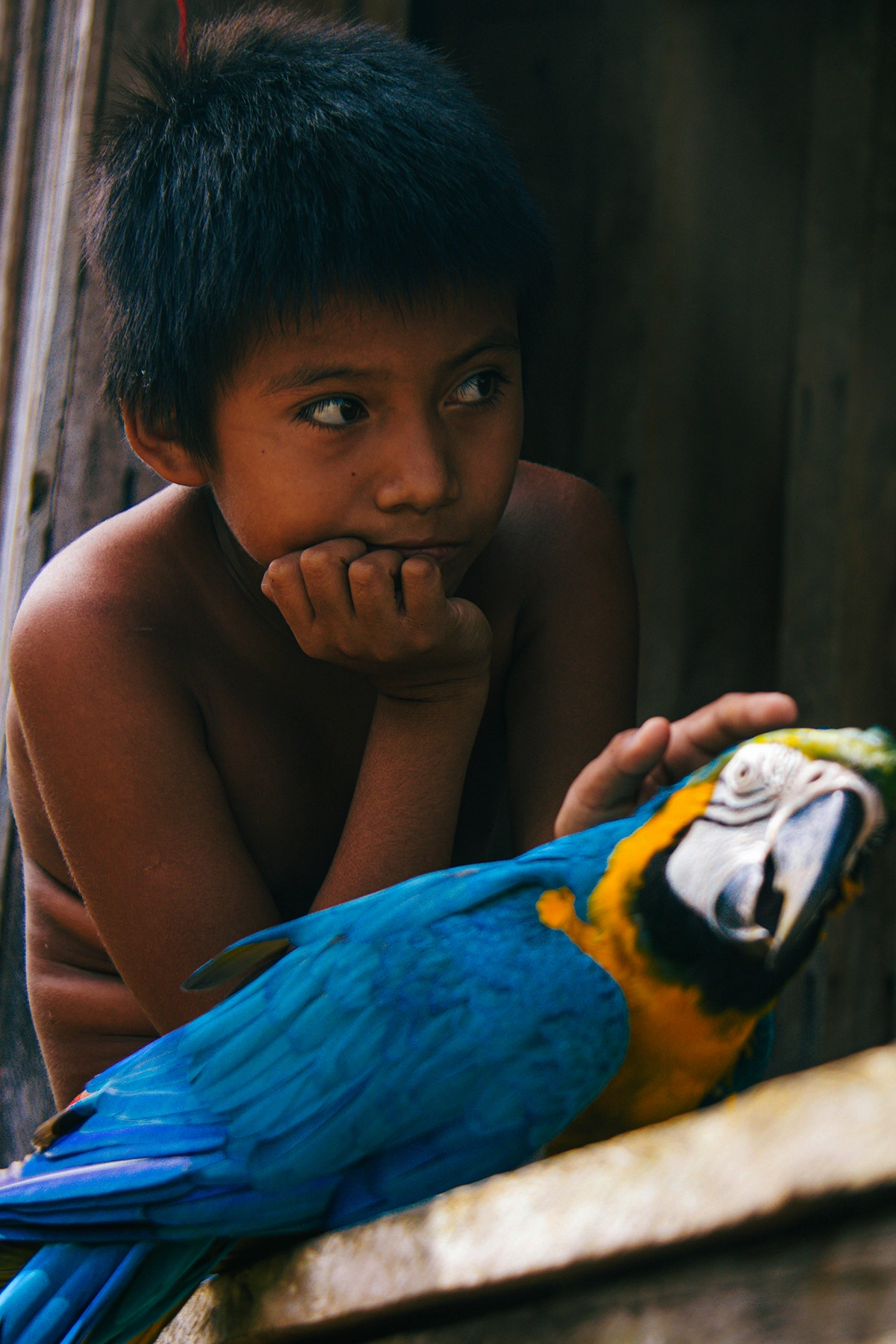 Voyage en Colombie Jiwaecotours.com