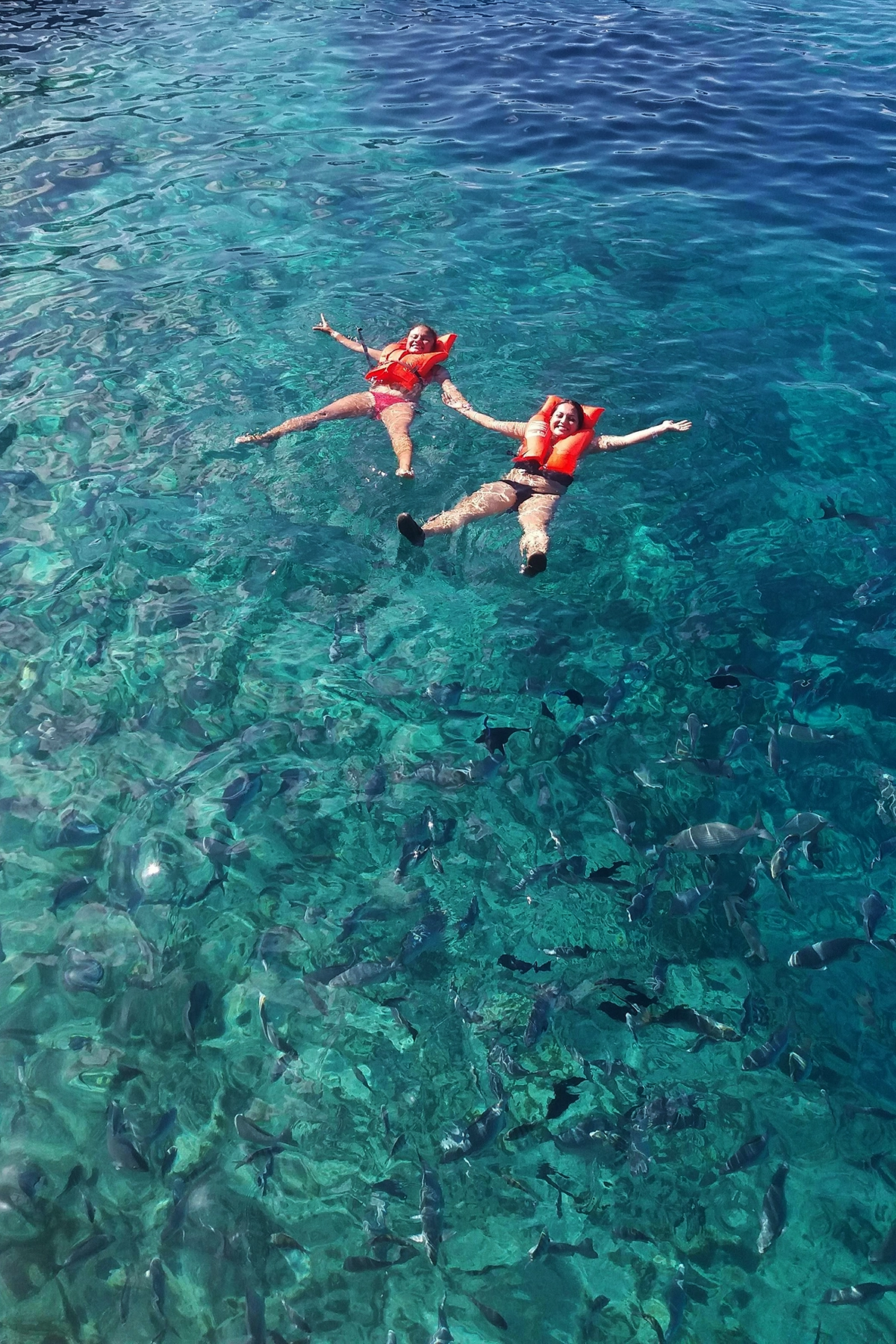 Voyage en Colombie Jiwaecotours.com