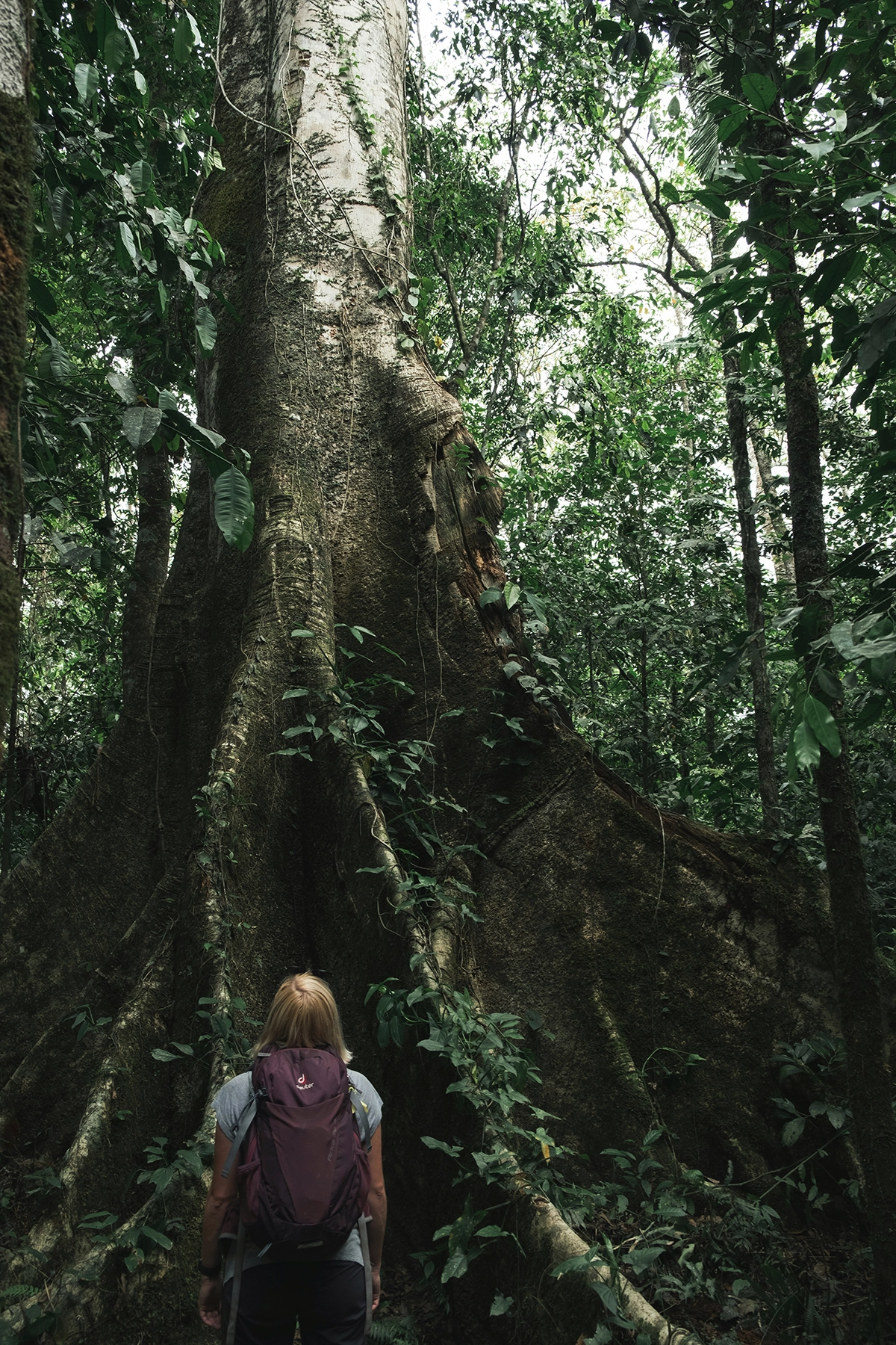 Voyage en Colombie Jiwaecotours.com